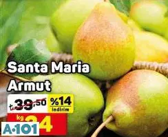 SANTA MARİA ARMUT KG SANTA MARİA ARMUT KG